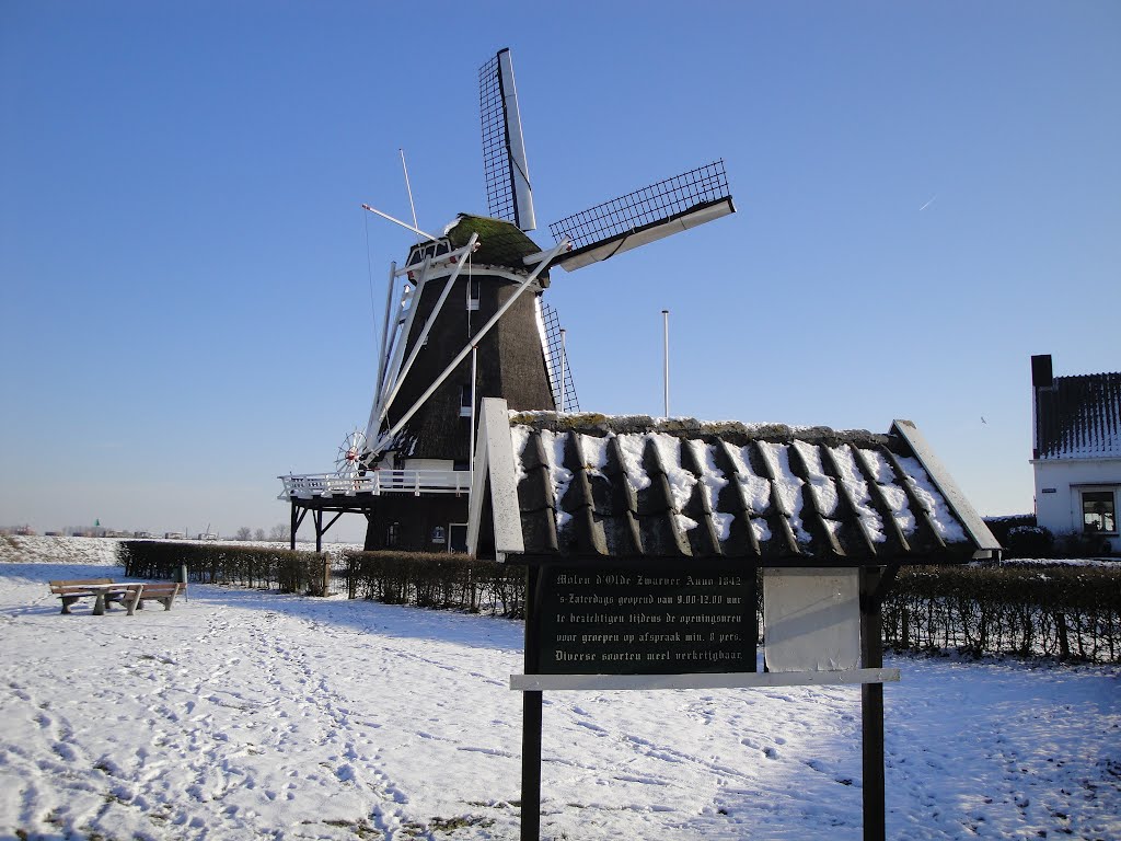 molen-in-winter